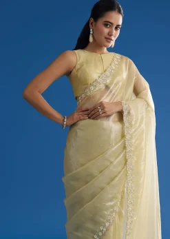 Pastel Green Glass Tissue Saree With Floral Embroidery And Cutwork Border
