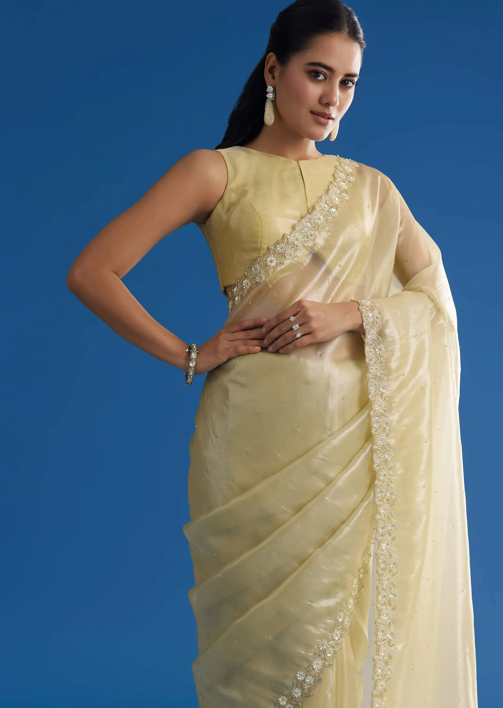 Pastel Green Glass Tissue Saree With Floral Embroidery And Cutwork Border