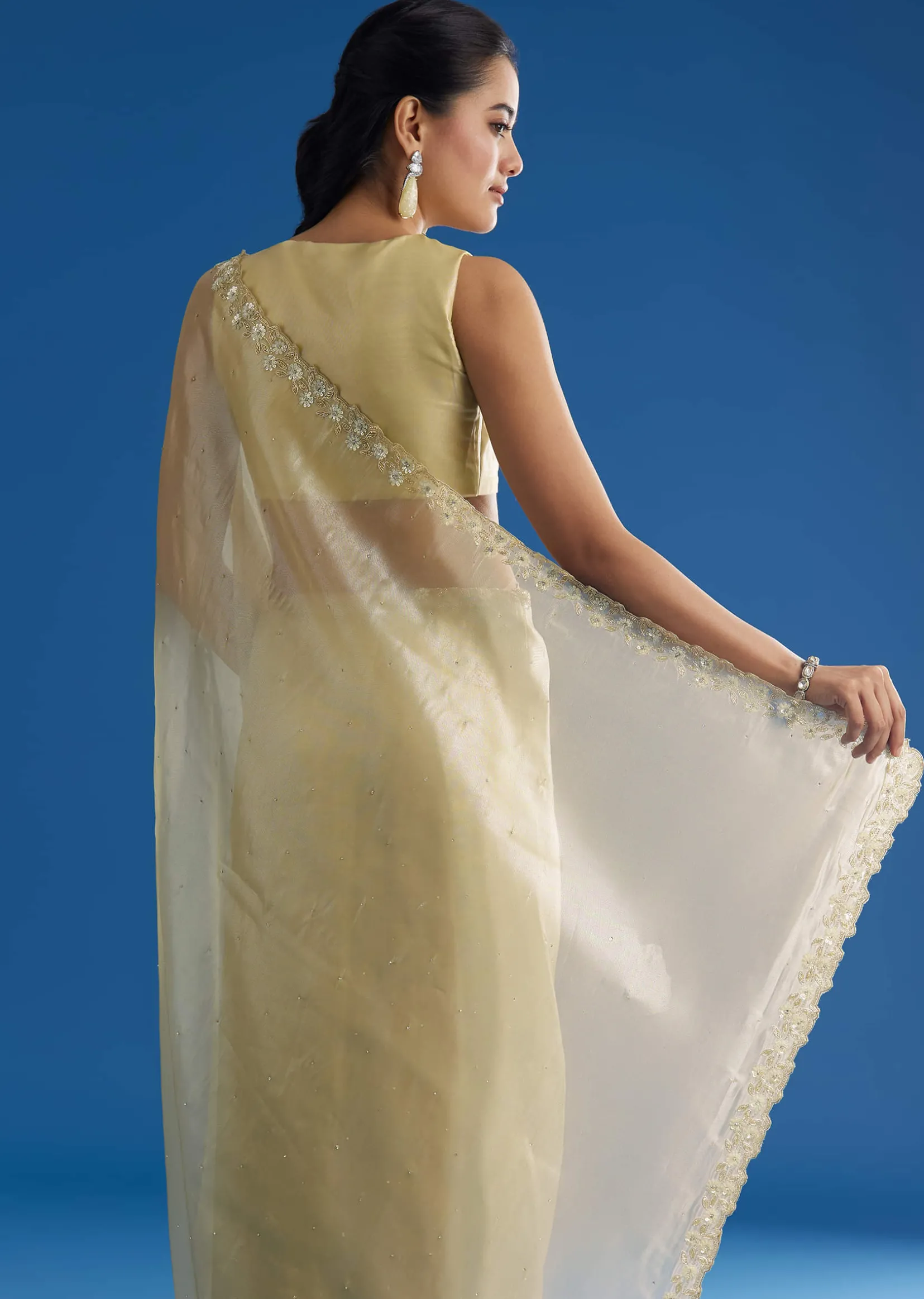 Pastel Green Glass Tissue Saree With Floral Embroidery And Cutwork Border