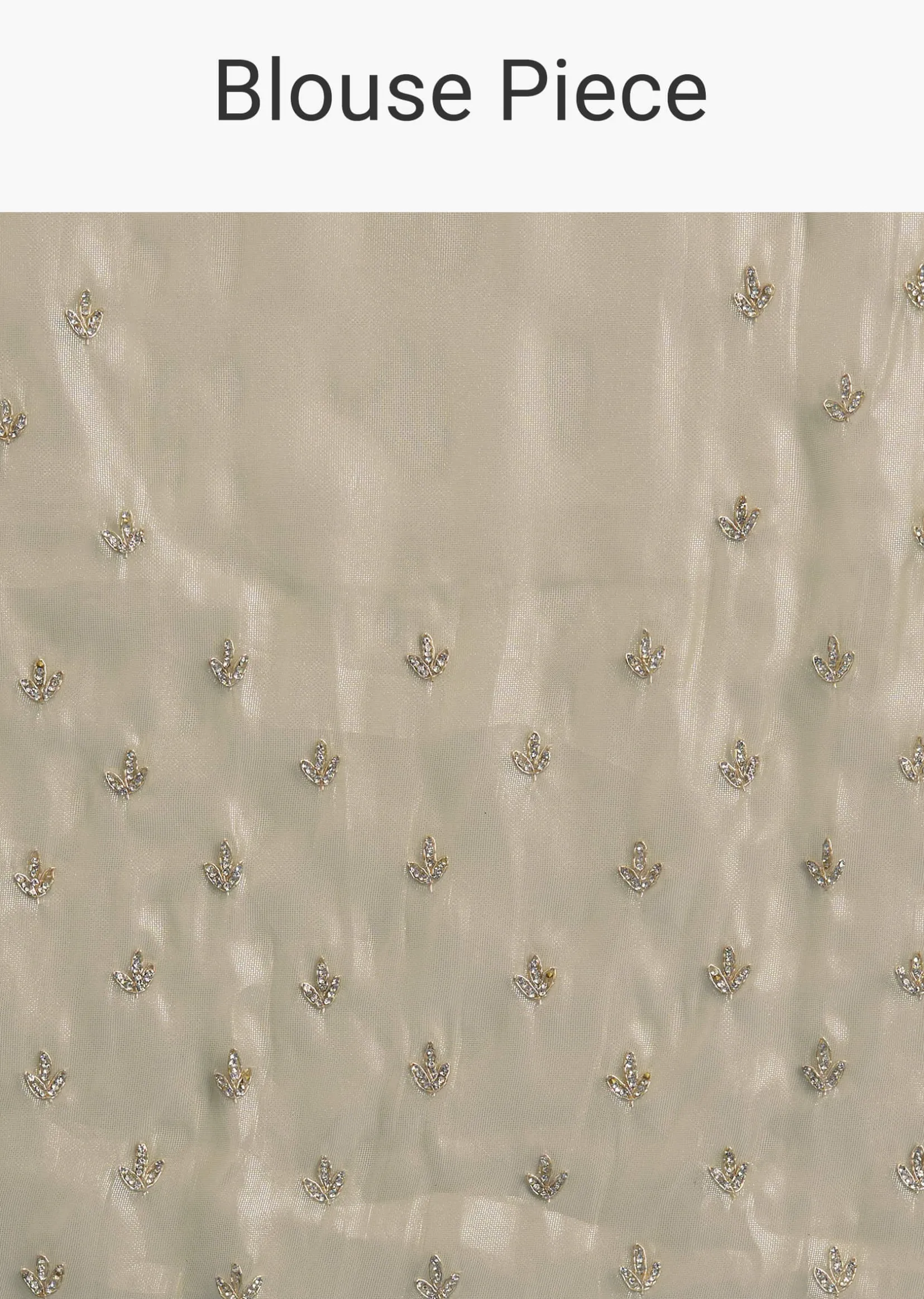 Pastel Green Glass Tissue Saree With Floral Embroidery And Cutwork Border