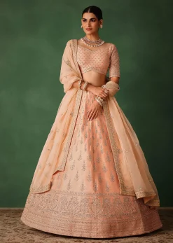 Peach Hand Embroidered Raw Silk Lehenga Set With Butti Work