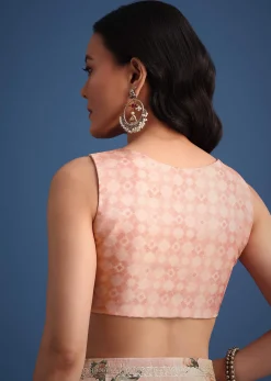 Peach Tissue Muslin Digital Print Saree With Pitta Work Border