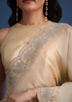 Peach Tissue Saree With Diamonds Embroidered Border