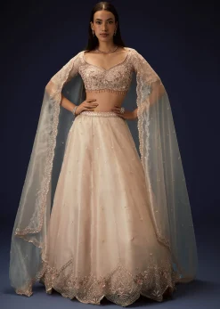 Pink Organza 8 Kali Lehenga With Embroidered Blouse and Cutwork Dupatta