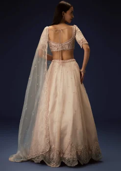 Pink Organza 8 Kali Lehenga With Embroidered Blouse and Cutwork Dupatta