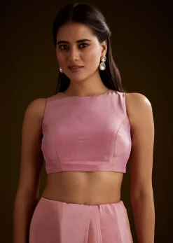 Pink Tissue Saree With Cutdana Embroidery And Scallop Border