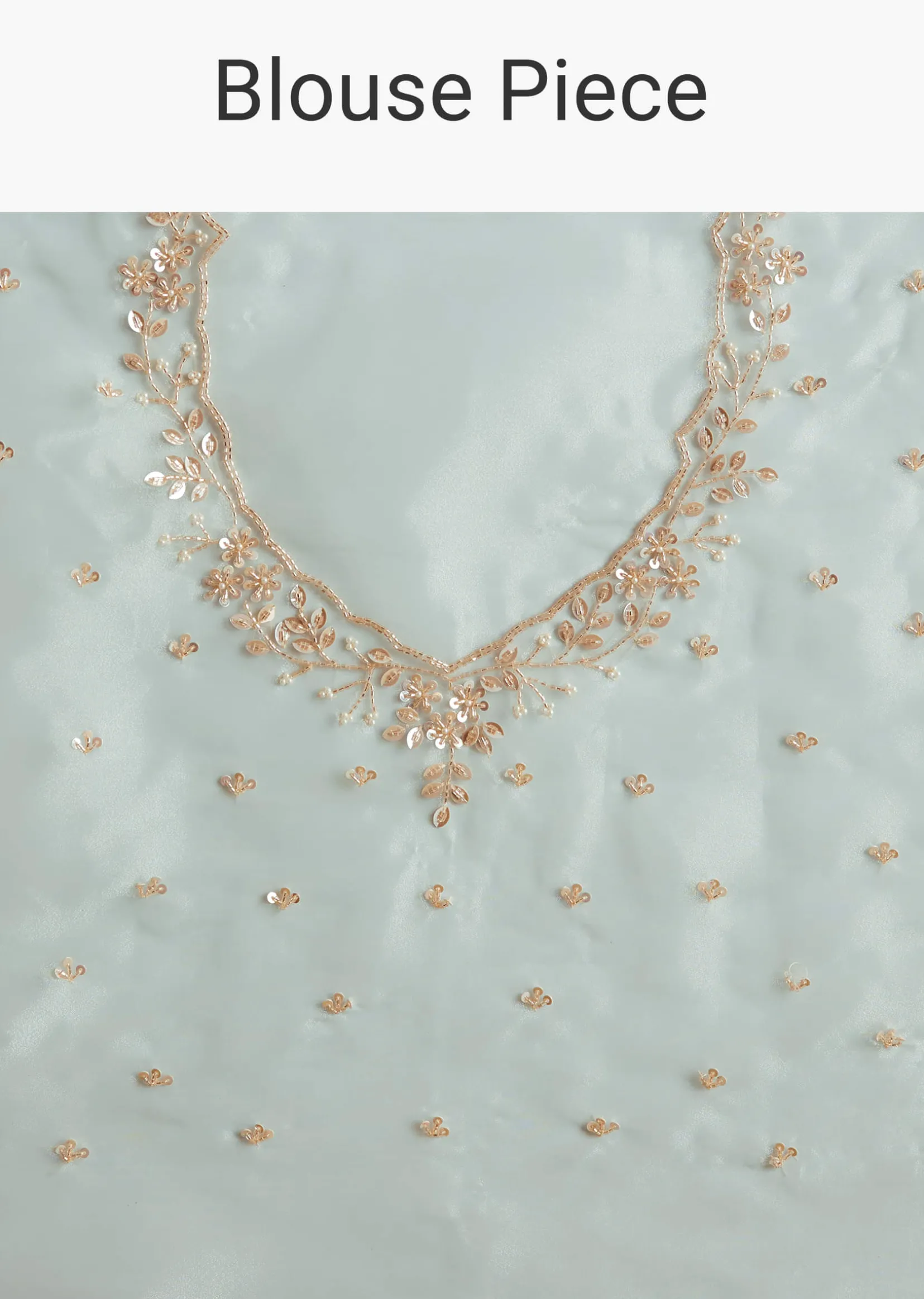 Powder Blue Tissue Embroidered Saree With Scallop Border