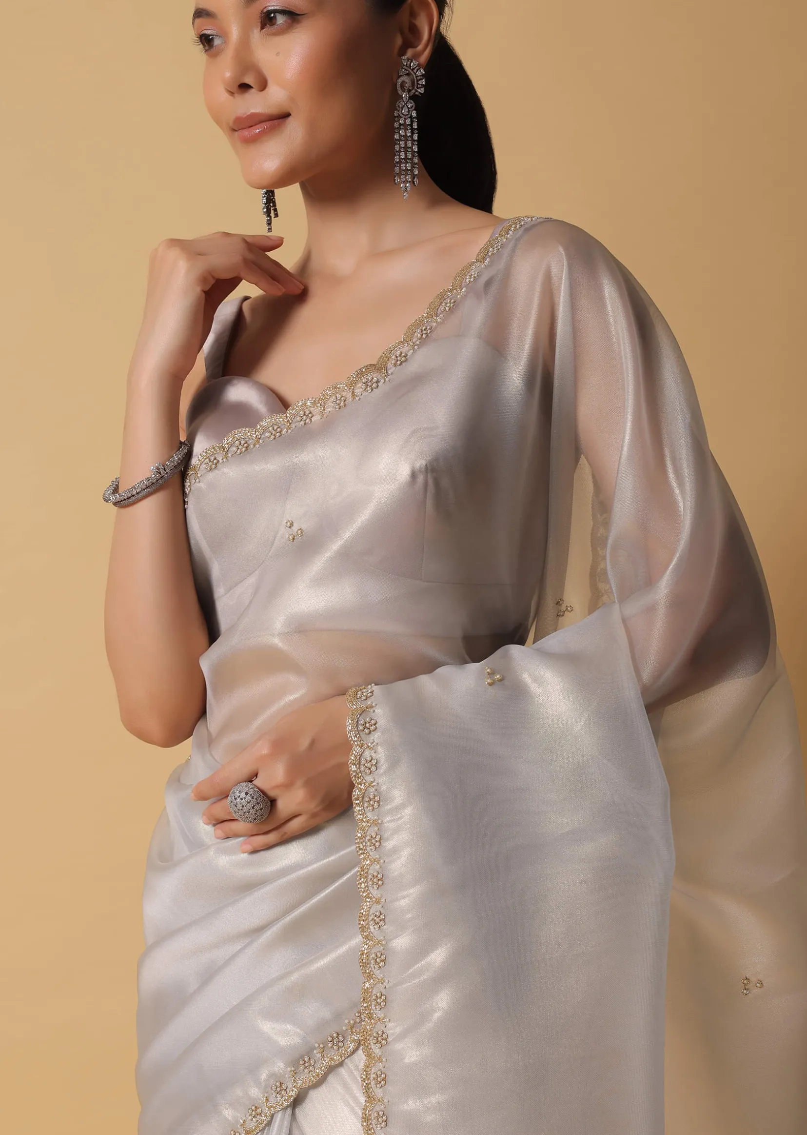 Powder Green Foil Saree In Tissue With Cut Dana Embroidered Borders