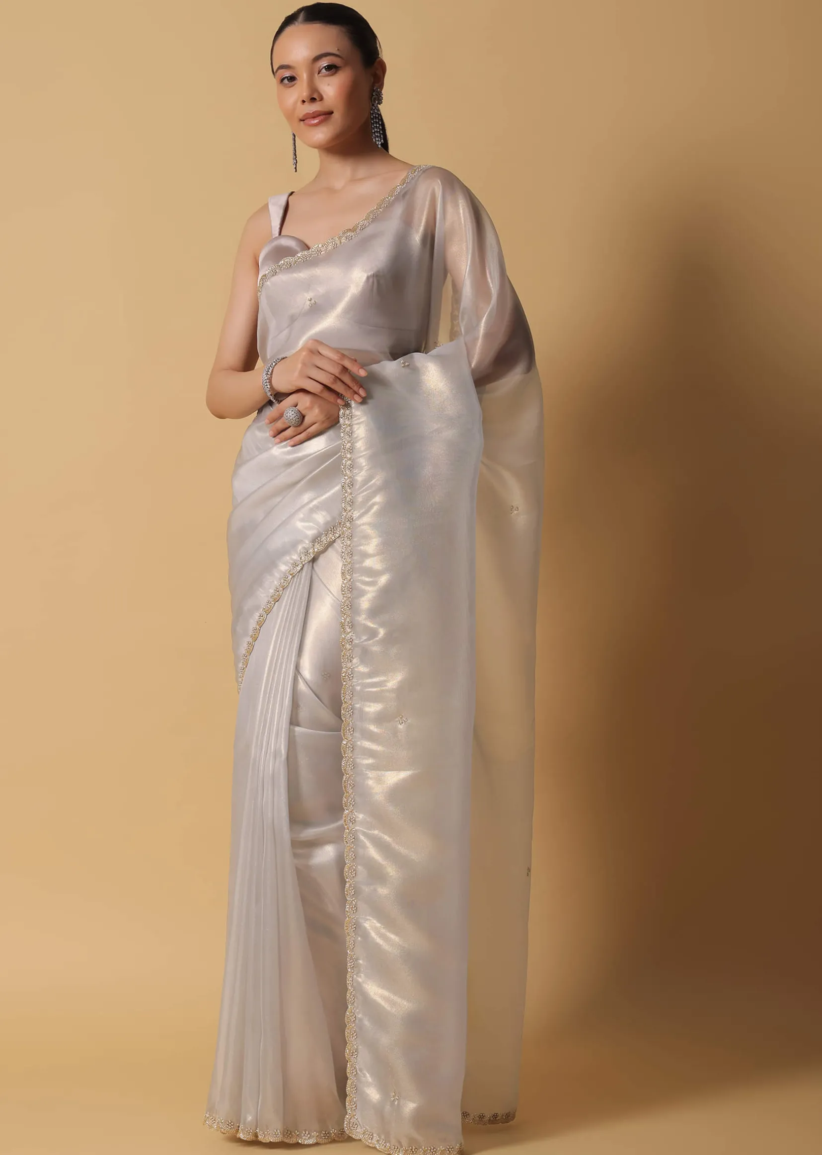 Powder Green Foil Saree In Tissue With Cut Dana Embroidered Borders