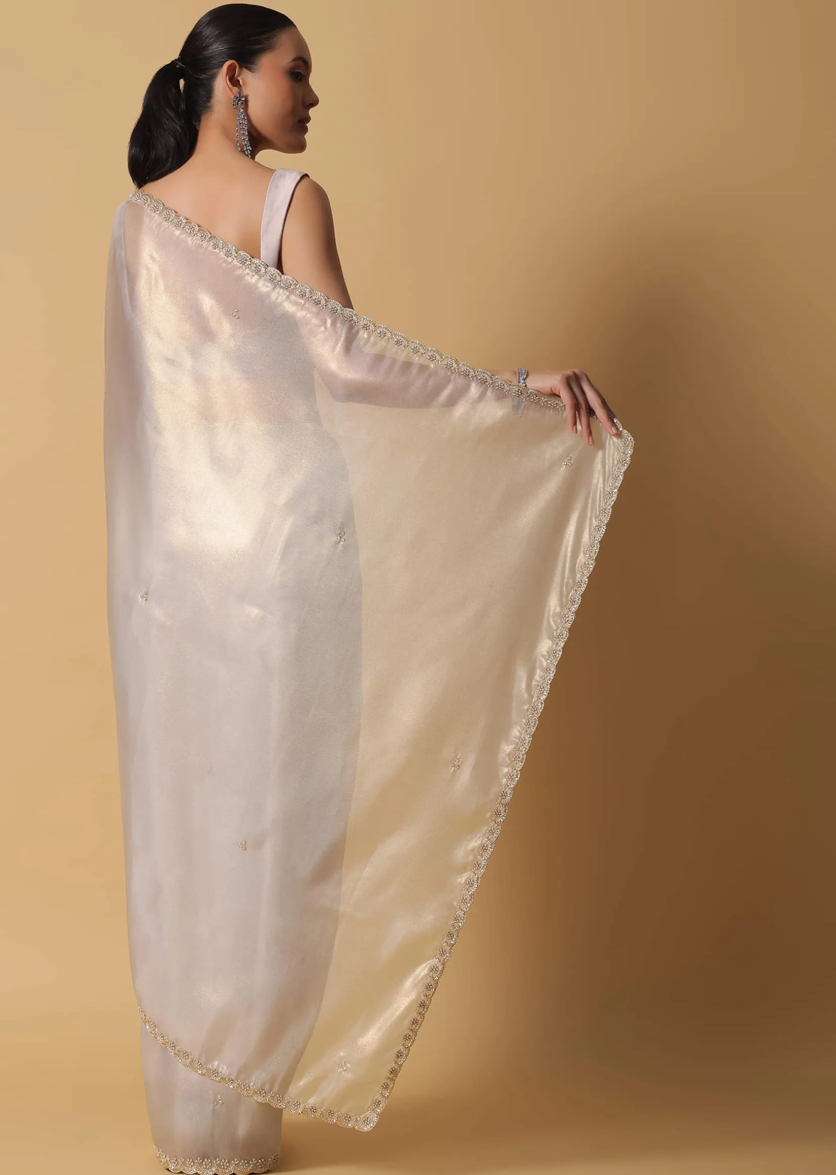 Powder Green Foil Saree In Tissue With Cut Dana Embroidered Borders