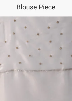 Powder Green Foil Saree In Tissue With Cut Dana Embroidered Borders