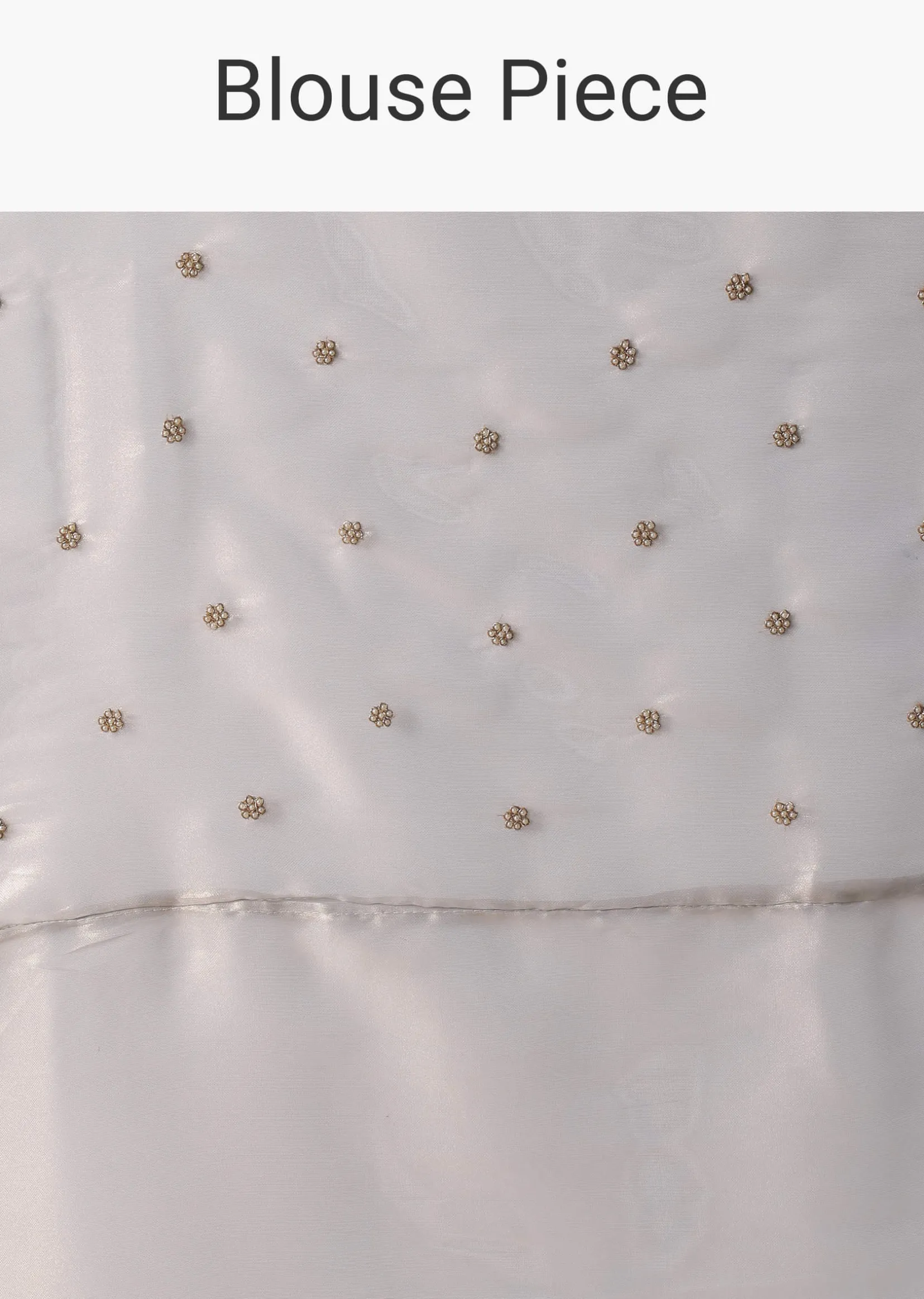 Powder Green Foil Saree In Tissue With Cut Dana Embroidered Borders