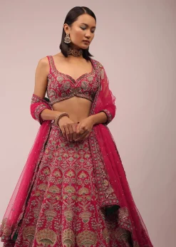 Rani Pink Lehenga In Golden Zari Work Embroidery Inspired By Mughal Architecture With Matching Net Dupatta In Embroidered Buttis