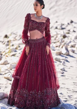 Red Organza Embroidered 12 Kali Lehenga And Blouse With Dupatta
