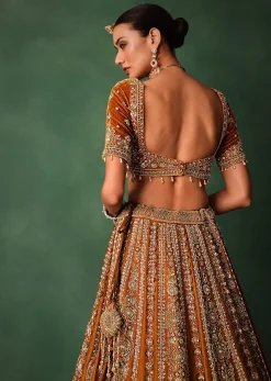 Rust Embroidered Bridal Lehenga With Deep Neckline Blouse And Dupatta