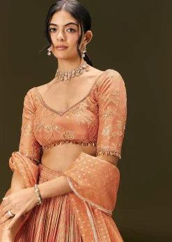 Rust Orange Tassel Embroidered Blouse With Lehenga And Dupatta