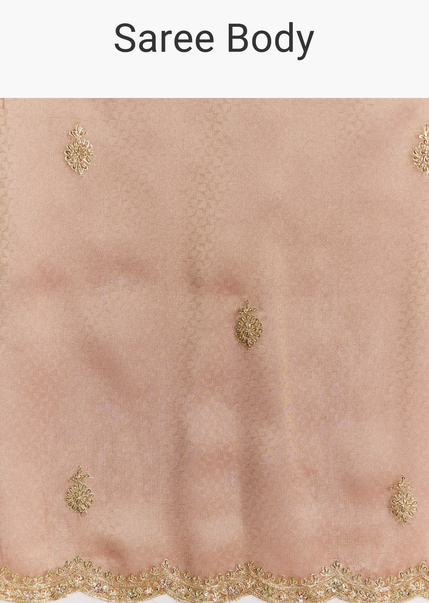 Rust Orange Tissue Saree With Zardosi Beads And Sequins Embroidery