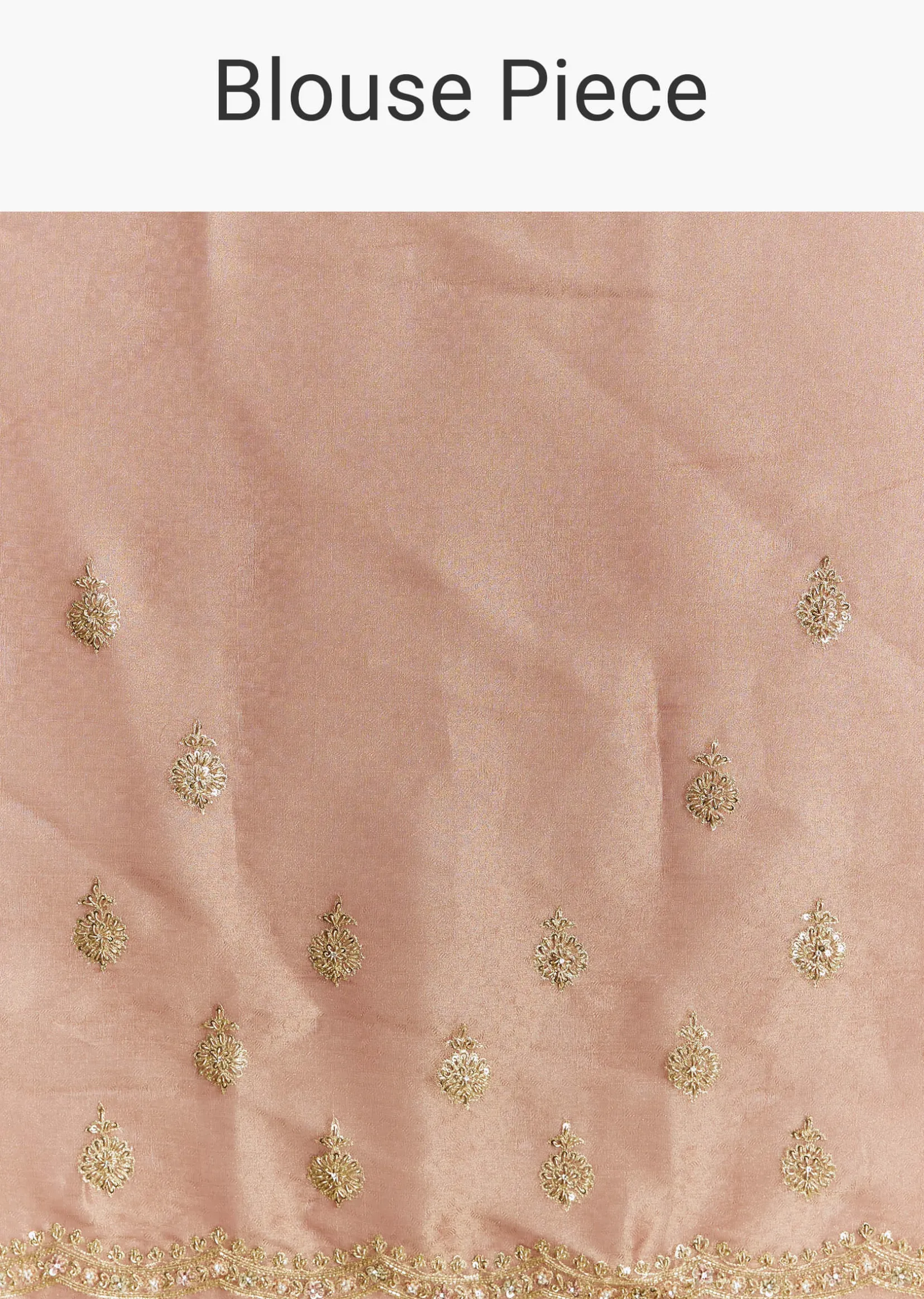 Rust Orange Tissue Saree With Zardosi Beads And Sequins Embroidery
