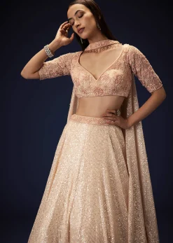 Salmon Peach Hand Embroidered Double Layer Sequence Lehenga With Frill