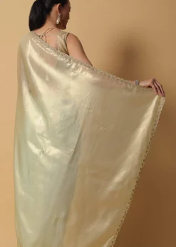 Sea Green Foil Saree In Tissue With Cut Dana Embroidered Borders