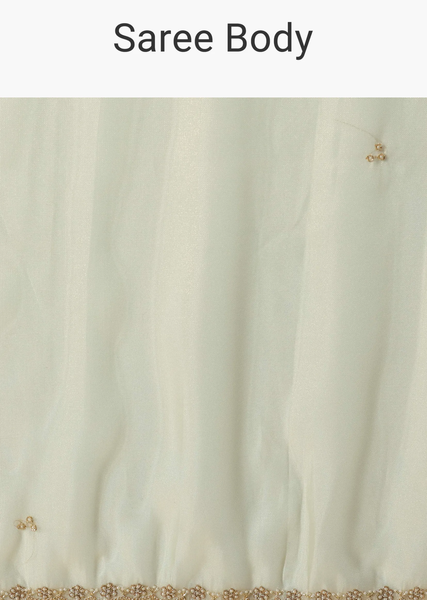 Sea Green Foil Saree In Tissue With Cut Dana Embroidered Borders