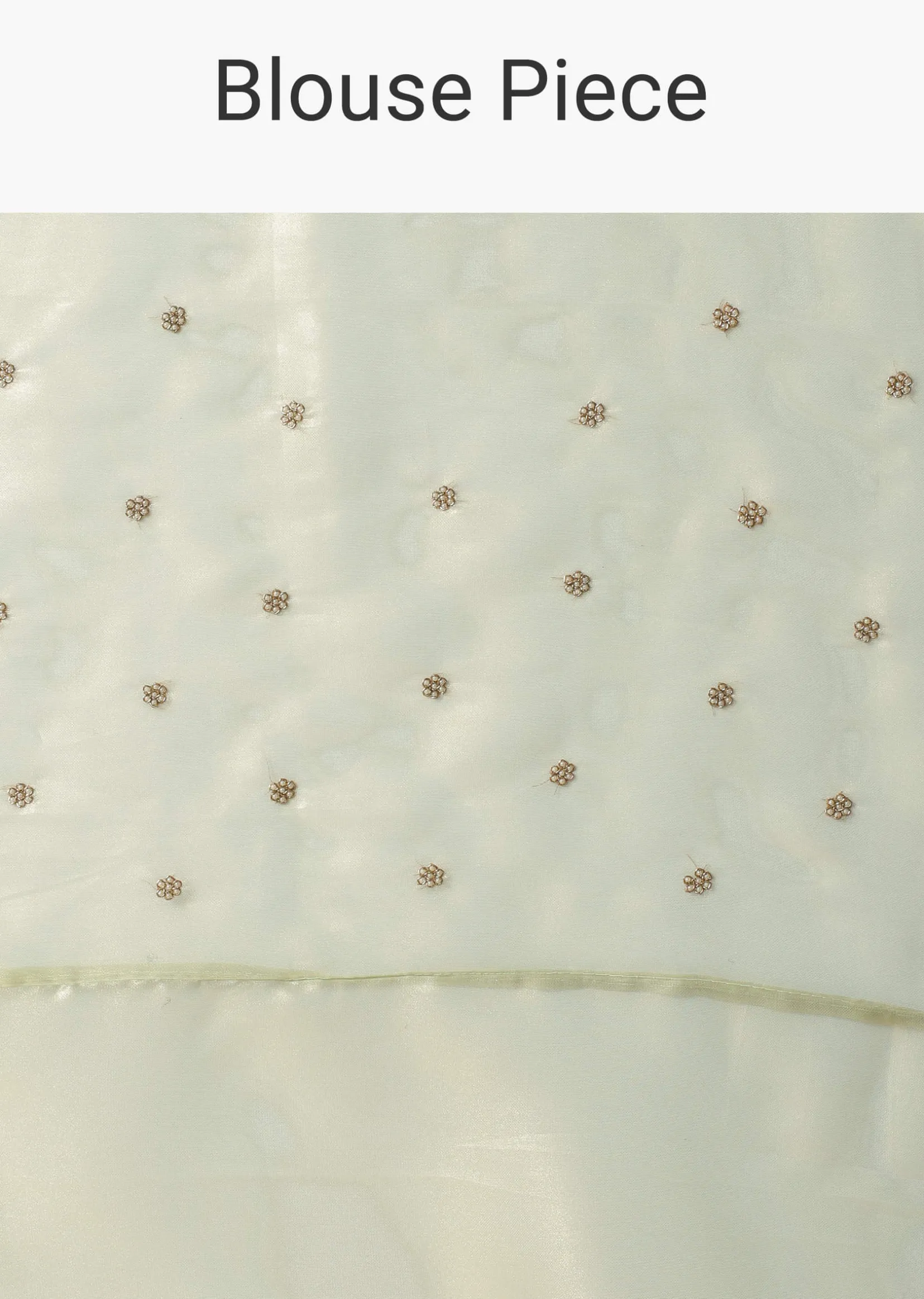 Sea Green Foil Saree In Tissue With Cut Dana Embroidered Borders