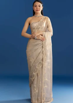 Silver Organza Tissue Saree With Sparkling Border