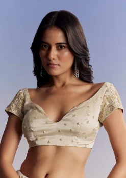 Silver Tissue Saree With Floral Cut Dana Embroidery