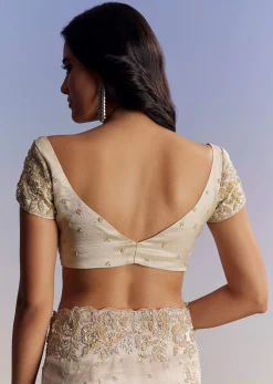 Silver Tissue Saree With Floral Cut Dana Embroidery