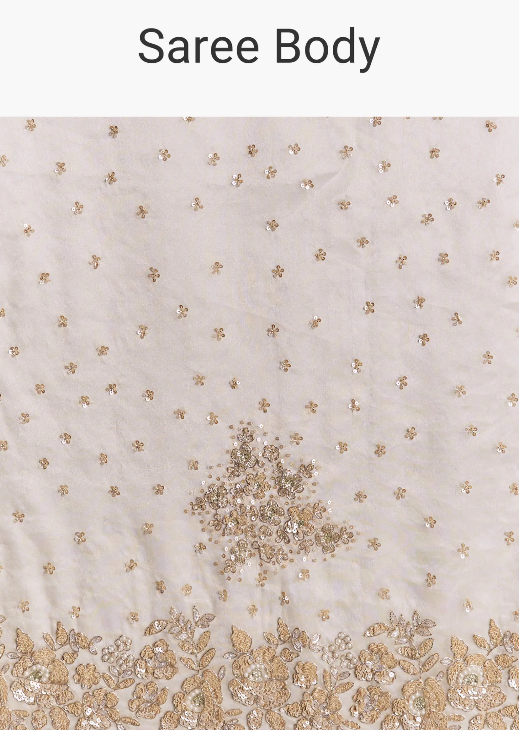 Silver Tissue Saree With Floral Cut Dana Embroidery