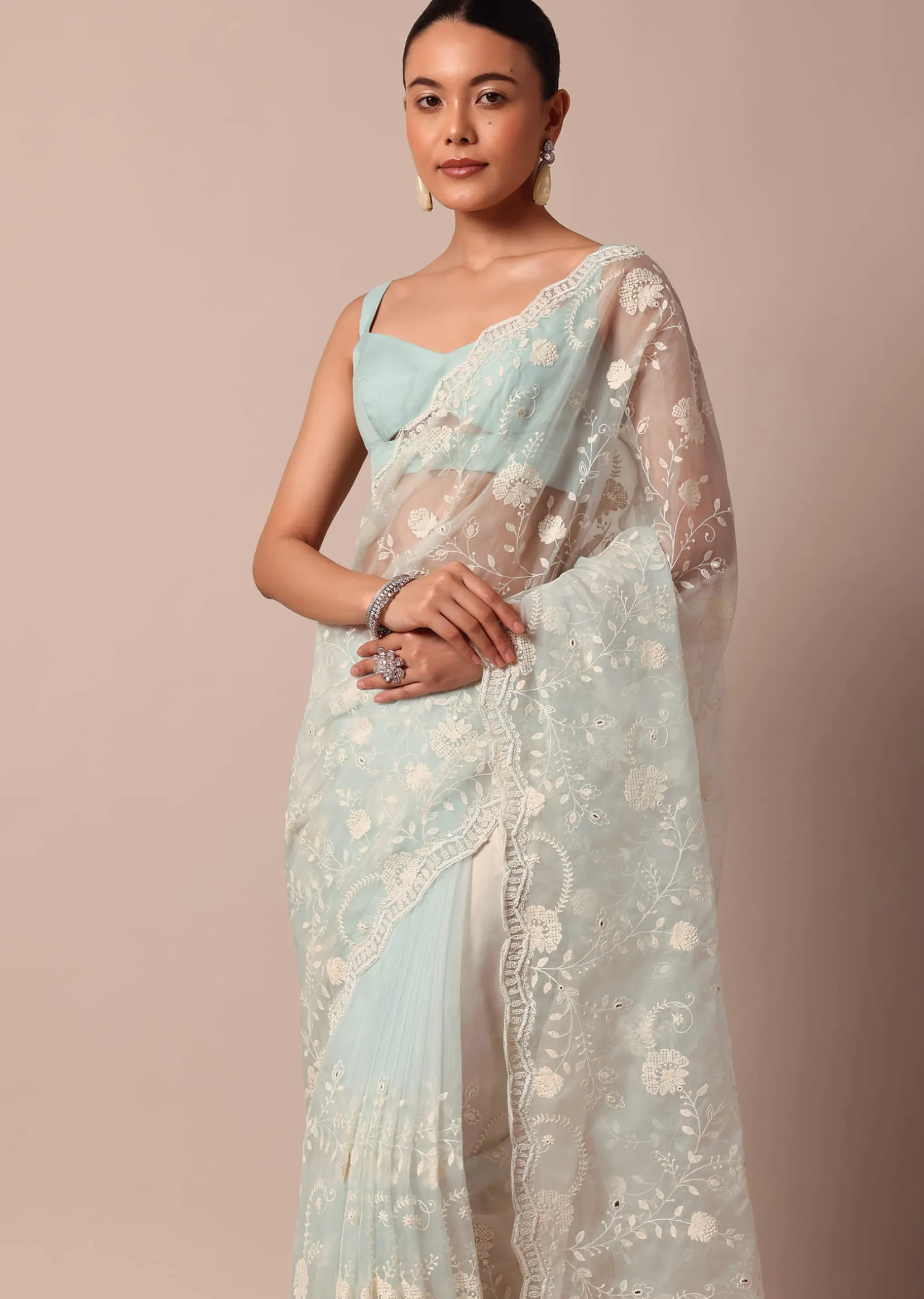 Sky Blue Chikankari Saree In Organza Silk With Scallop Border And Unstitched Blouse Fabric