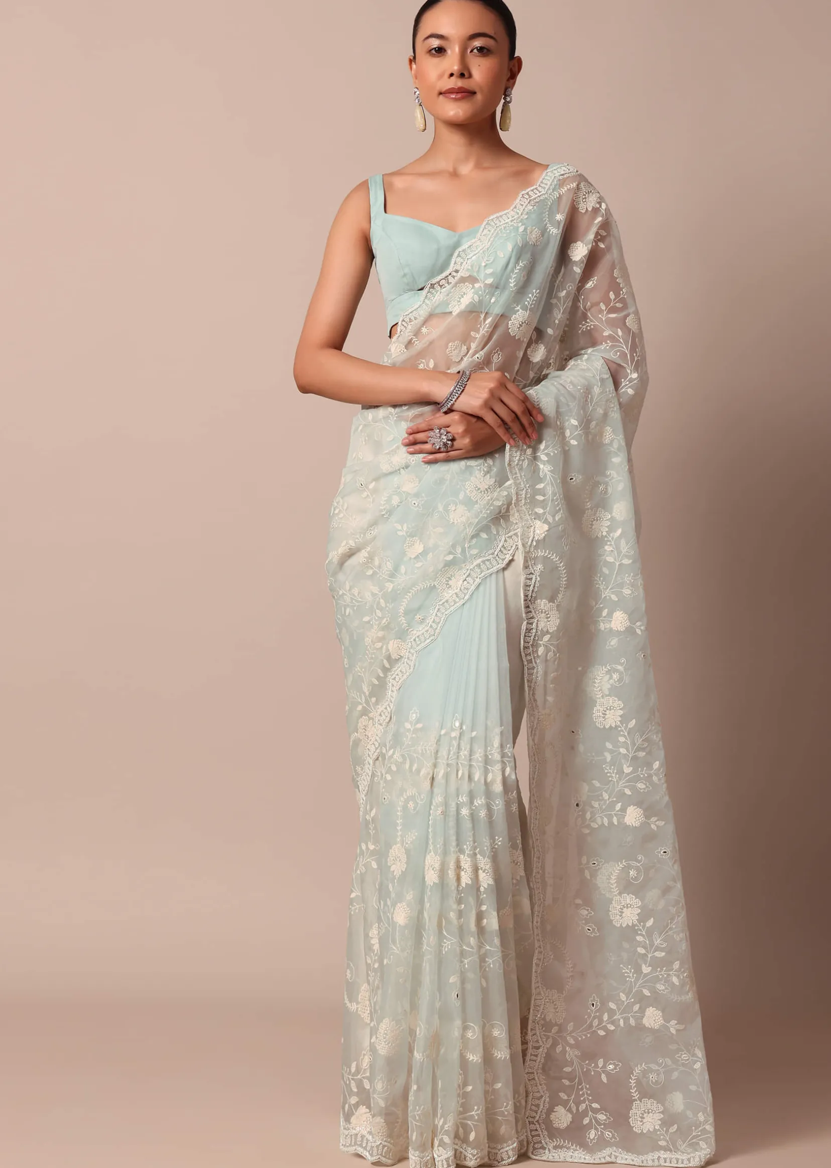 Sky Blue Chikankari Saree In Organza Silk With Scallop Border And Unstitched Blouse Fabric