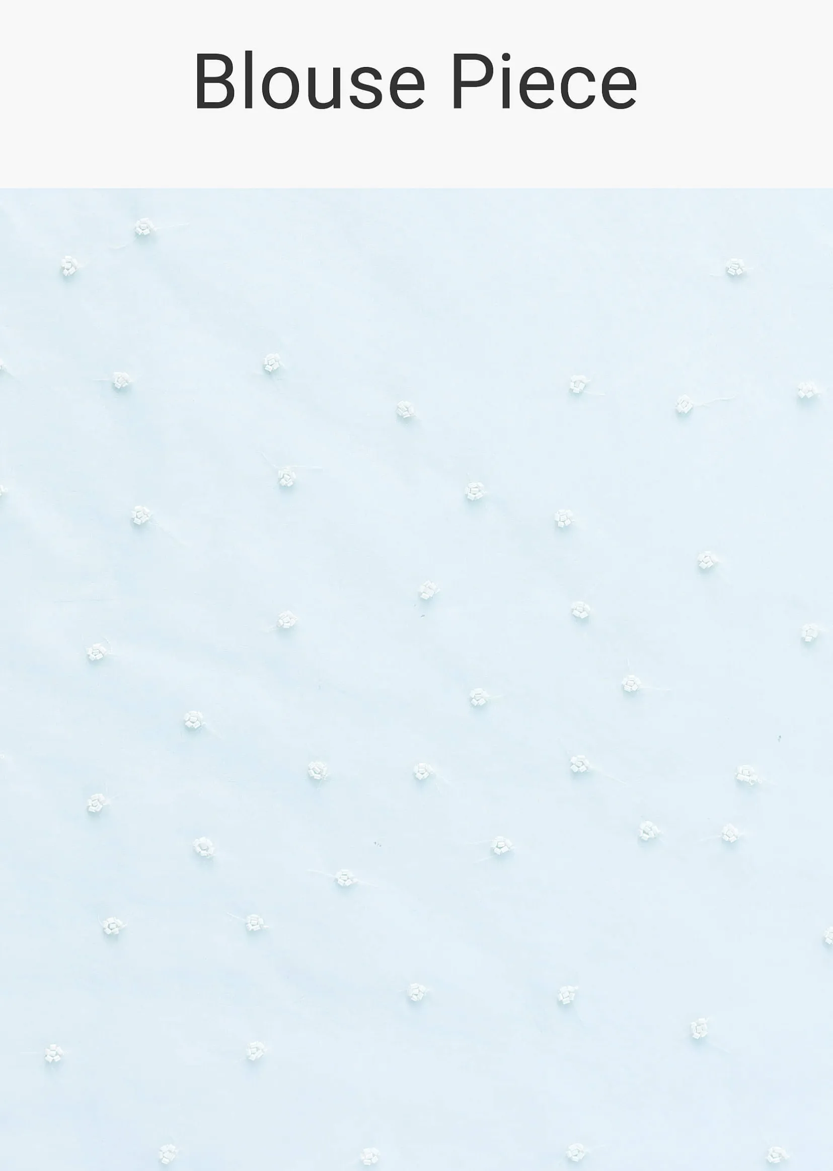 Sky Blue Chikankari Saree In Organza Silk With Scallop Border And Unstitched Blouse Fabric