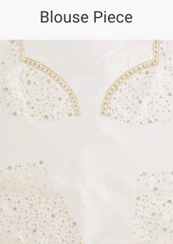 White Glass Tissue Saree With Sequin Embellishments