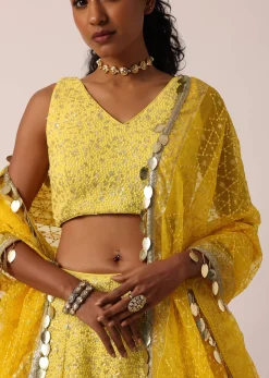 Yellow Net Lehenga Set With Lucknowi Work